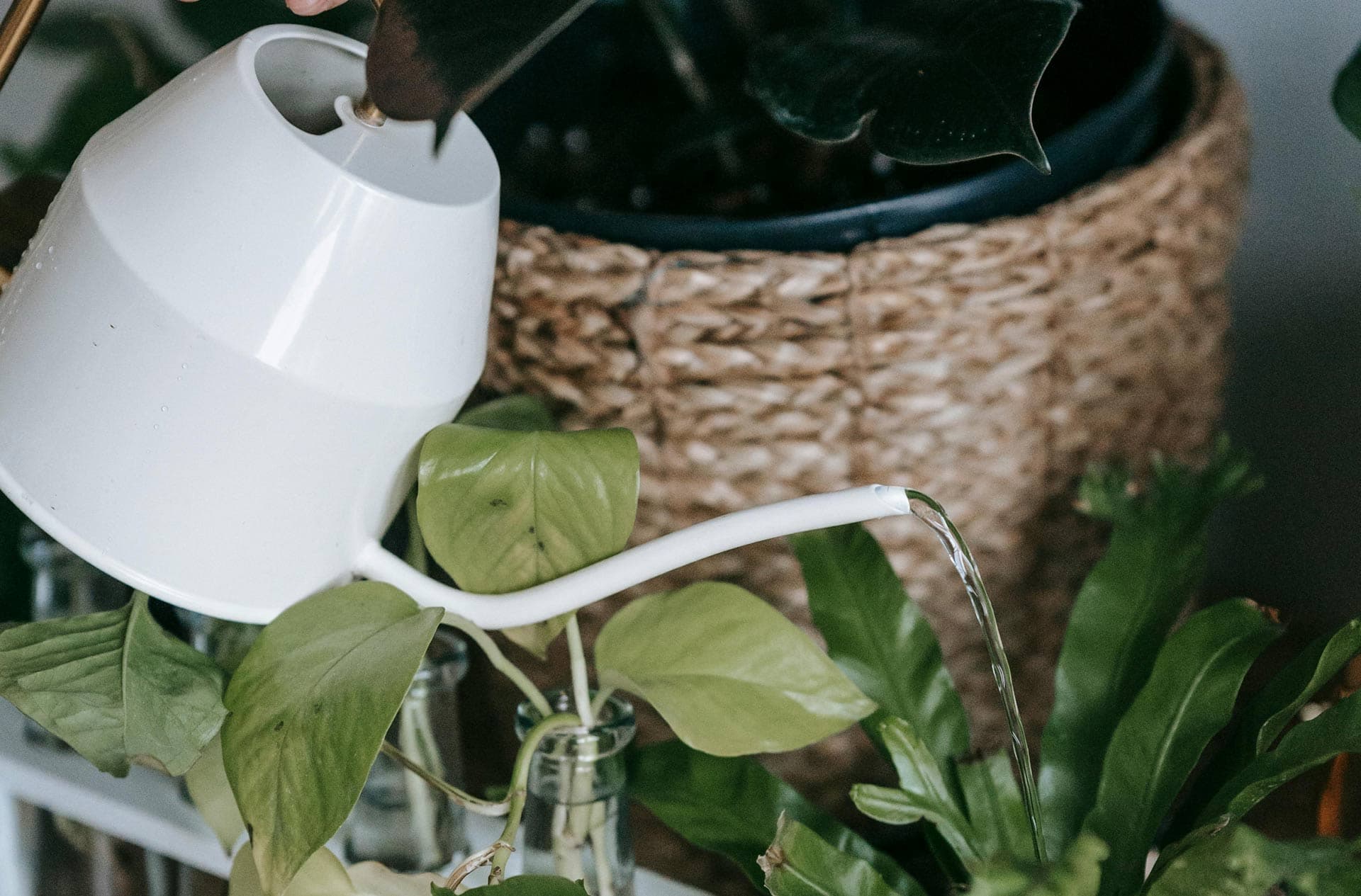 🏠 Permanecen bajo tu control.