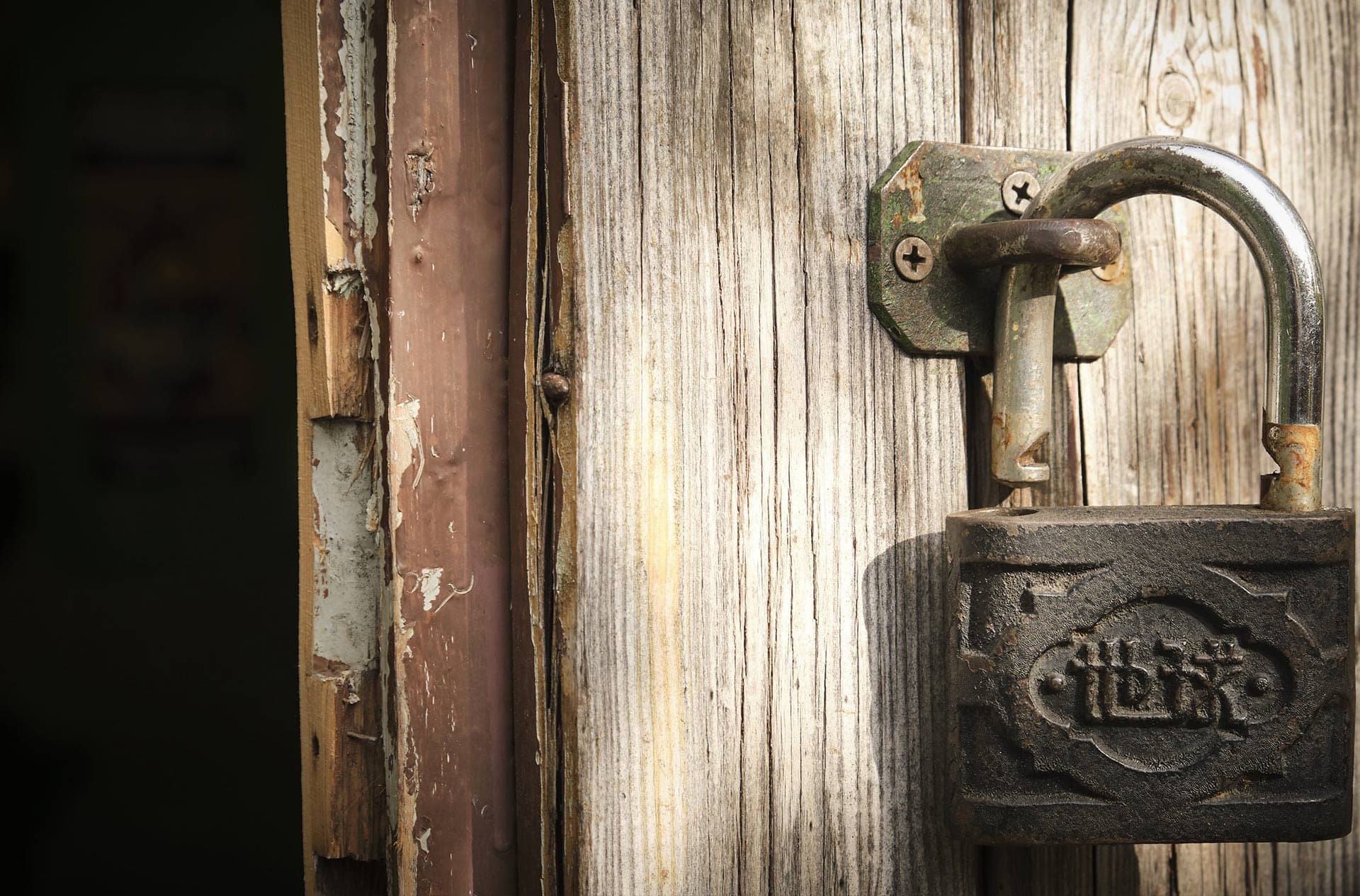 🌍 Accede a ellos desde cualquier lugar.